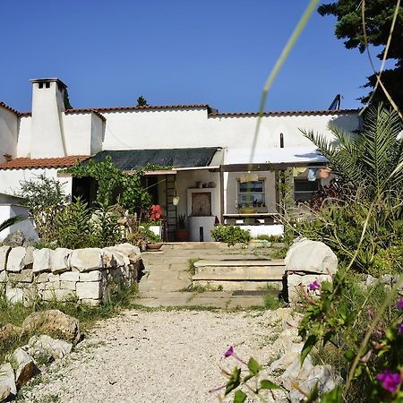 Mater Bed & Food-Riserva Naturale Di Torre Guaceto Serranova Exterior photo