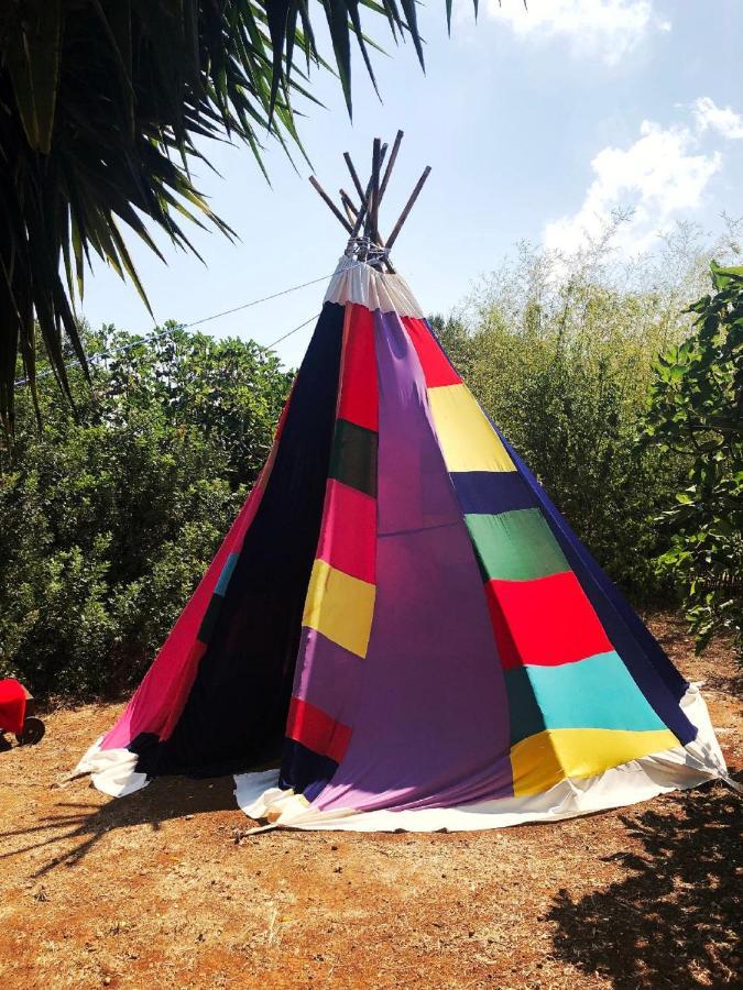 Mater Bed & Food-Riserva Naturale Di Torre Guaceto Serranova Exterior photo