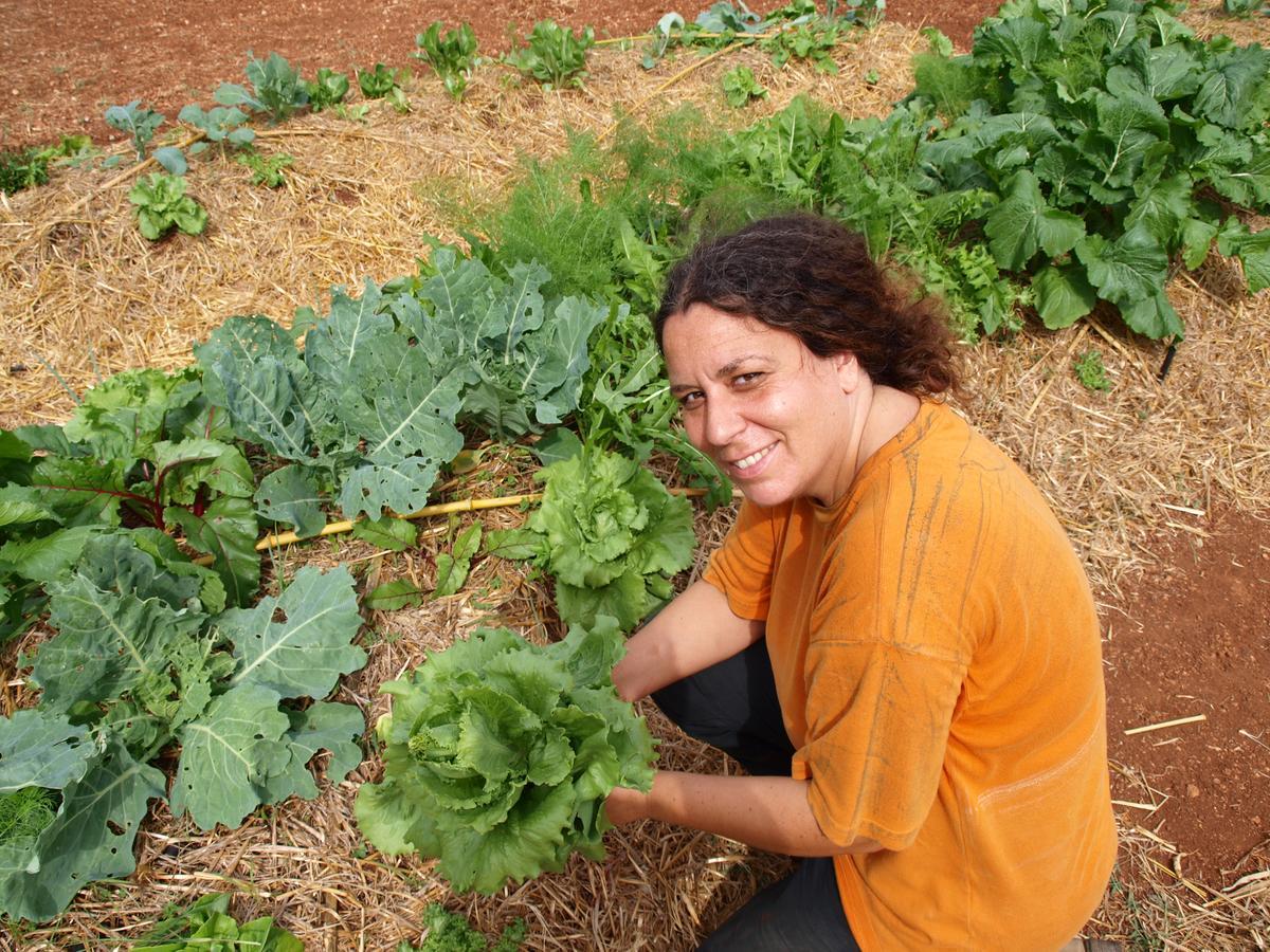 Mater Bed & Food-Riserva Naturale Di Torre Guaceto Serranova Exterior photo