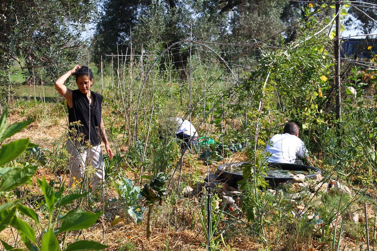 Mater Bed & Food-Riserva Naturale Di Torre Guaceto Serranova Exterior photo
