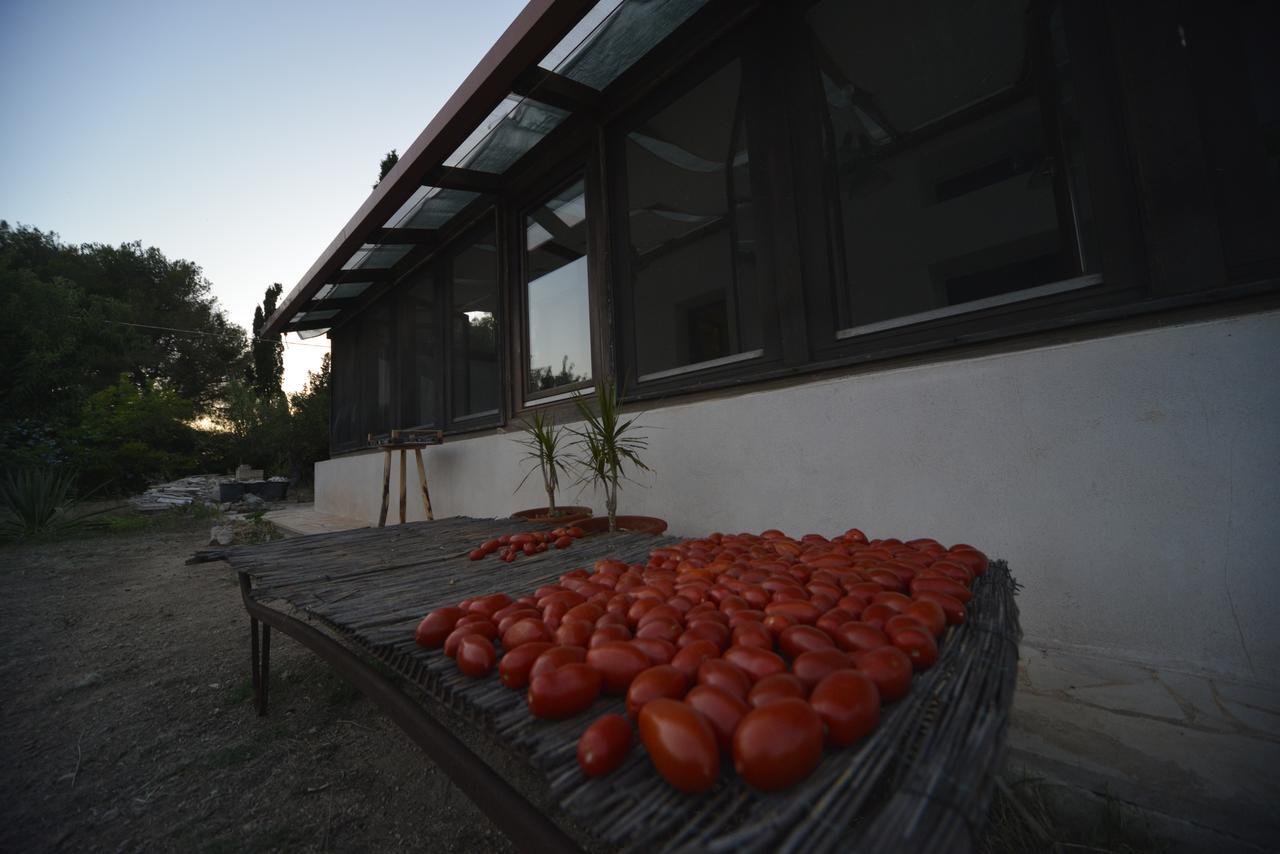 Mater Bed & Food-Riserva Naturale Di Torre Guaceto Serranova Exterior photo